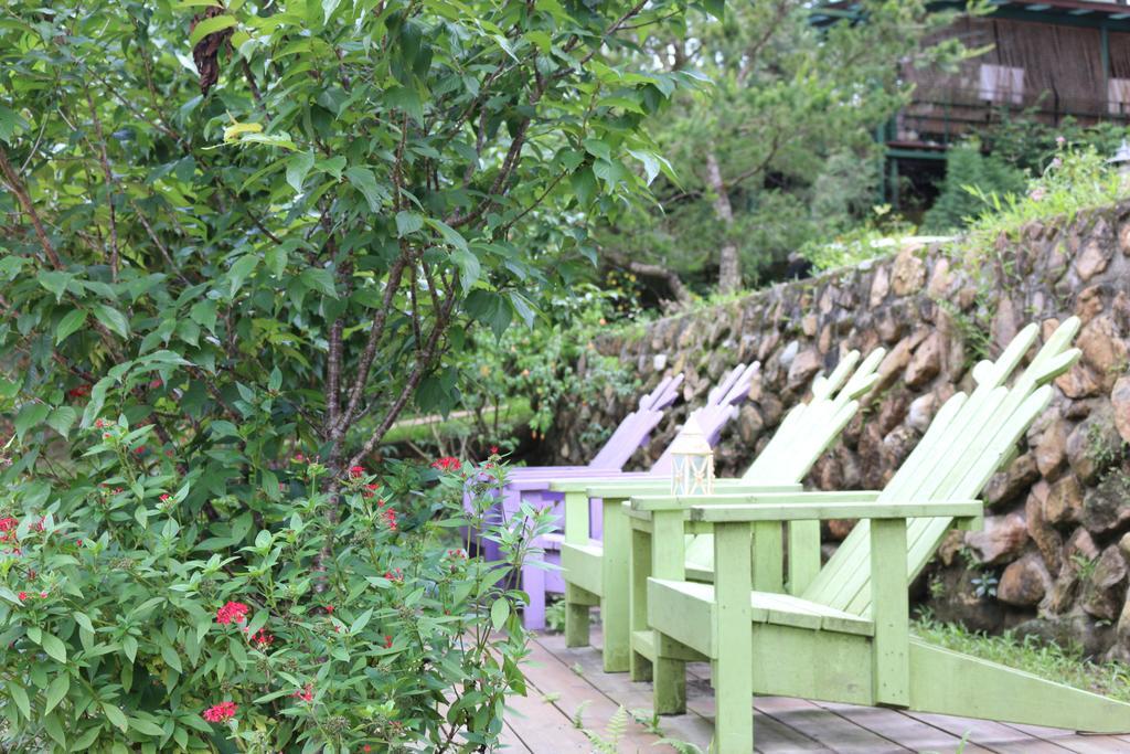 Bear Meets Moose Homestay B&B Puli Exterior photo